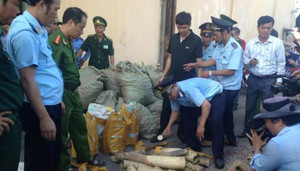 Gần 9.000 vụ vi phạm luật hải quan bị phát hiện, bắt giữ