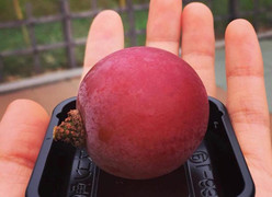 Chùm nho 250 triệu đồng, dân nhà giàu Việt đua nhau... mua 1 quả