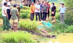 Bốn em nhỏ ở Khánh Hòa chết đuối thương tâm ngay trong ao nhà