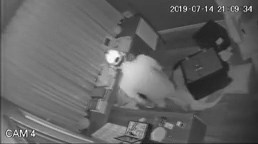 Clip: Tên trộm phá két sắt trong chưa đầy 20 phút, lấy tài sản trị giá 5 tỷ đồng của Nhật Kim Anh