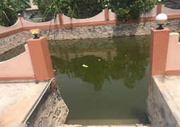 Nghệ An: Sảy chân rơi xuống ao, chị đuối nước, em nguy kịch