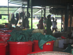 Bắt quả tang 1.000 lít rượu không rõ nguồn gốc