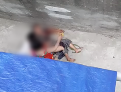 Video: Sang gọi cháu ngoại qua ăn cơm, bà cụ 77 tuổi bị chó tấn công rách mặt