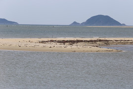 Đảo cát thứ 2 ‘mọc’ giữa biển Cửa Đại từ bao giờ?