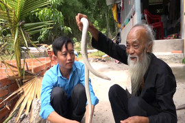 Video: Lão nông nuôi 'bạch xà' làm thú cưng ở An Giang