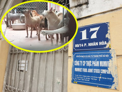 Trung tâm nghiên cứu bảo vệ động vật mọc giữa khu dân cư, gây ô nhiễm ở Hà Nội