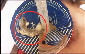 Thương hiệu trà sữa nổi tiếng bị khách hàng tố có lẫn thạch sùng