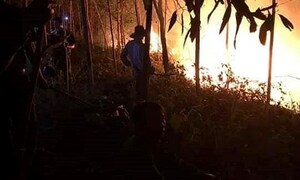 Hàng trăm người xuyên đêm cứu 20 hecta rừng ở Quảng Trị bị 'giặc lửa' tấn công