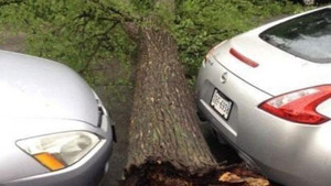 Tình huống may mắn thoát nạn trong gang tấc ít ai ngờ