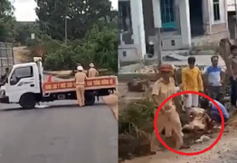 Bị truy đuổi, tài xế liều mạng tông thẳng vào xe CSGT chặn đường ở Gia Lai: Tạm giữ 3 nghi can