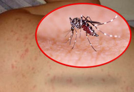 Thêm một người ở Đắk Lắk thiệt mạng do sốt xuất huyết
