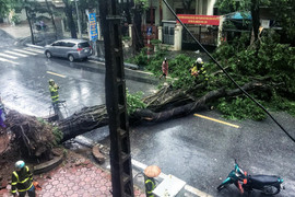 Bão số 3 suy yếu, cảnh báo mưa lớn diện rộng