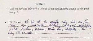 Cười nghiêng ngả với học sinh đưa tên nhân vật trò chơi vào bài kiểm tra về bảo vệ rừng