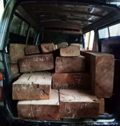 Bị CSGT rượt đuổi hơn 1 tiếng đồng hồ, tài xế bỏ lại xe chở gỗ lậu rồi tẩu thoát