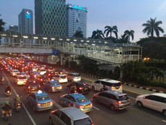 Indonesia sẽ dời thủ đô từ Jakarta sang đảo Borneo