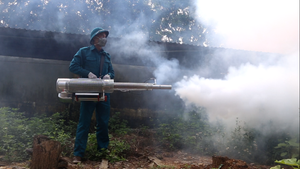 Clip: Cận cảnh 'súng' công suất lớn phun thuốc diệt muỗi sốt xuất huyết ở Hà Nội