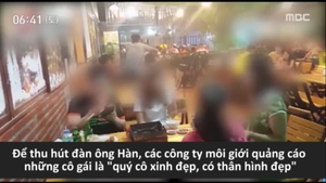 Cô dâu Việt bị môi giới Hàn quảng cáo 'biết phục tùng, còn trinh'