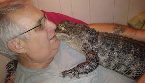 Người đàn ông tự chữa trầm cảm bằng cách nuôi cá sấu