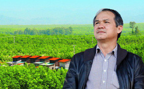 Công ty bầu Đức mất quyền kiểm soát đang làm ăn thế nào?