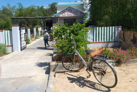 Khởi tố gã chồng sát hại vợ rồi tự sát ở Quảng Nam