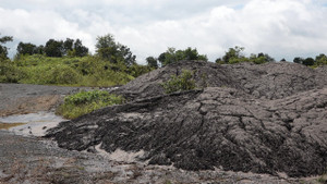 Hàng chục tấn bùn thải Nhà máy Alumin Nhân Cơ đổ trái phép ở Đắk Nông