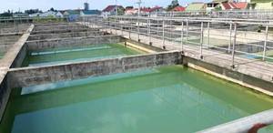 Hàng ngàn người dân TP Vinh sẽ được mua nước sạch giá rẻ