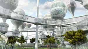 Đâu là giải pháp nuôi sống 10 tỷ người năm 2050?