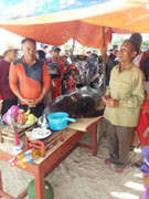 Giải cứu cá heo nặng hơn 100kg dạt vào bờ biển Hà Tĩnh