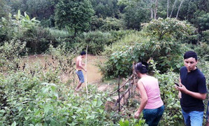 Đi hái ổi rơi xuống ao, hai anh em ở Nghệ An chết đuối thương tâm