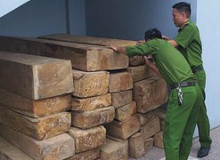 Phát hiện xe tải chở gỗ không rõ nguồn gốc ra Hà Tĩnh tiêu thụ