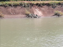 Tìm kiếm người mất tích, một chiến sĩ công an hy sinh