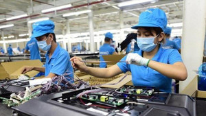 8 tháng, hơn 10 nghìn doanh nghiệp giải thể tại TP.HCM