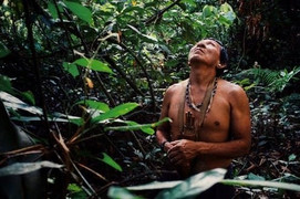 Cháy rừng hoành hành, Brazil lo bộ lạc khu vực Amazon bị xóa sổ