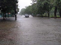 Nghệ An mưa lớn kéo dài, đường phố thành Vinh biến thành sông, giao thông tê liệt