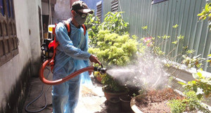 Số ca mắc sốt xuất huyết ở Đà Nẵng tăng gấp 3 lần, một người thiệt mạng