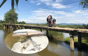 Ảnh: Thót tim qua cây cầu rệu rã chờ sập ở Quảng Nam