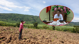 Lãnh đạo tỉnh Đắk Lắk 'né' trả lời dự án chăn nuôi bò sai phạm?