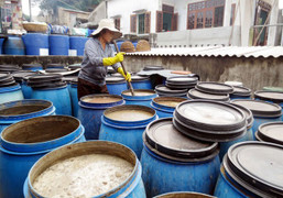 Nghề làm nước mắm Nam Ô Đà Nẵng là di sản văn hóa phi vật thể quốc gia