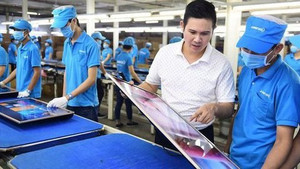 Asanzo nhập linh kiện tivi, bếp hồng ngoại, ấm đun nước... trị giá hàng nghìn tỷ đồng