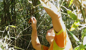 Video: Nhóm thanh niên ở Thanh Hóa dùng súng cao su săn chuột rừng