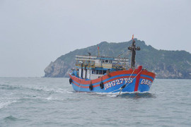 Cạn kiệt lương thực và nhiên liệu, ngư dân Bình Định cầu cứu khẩn cấp ở Trường Sa