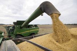 Cái giá Trung Quốc đưa ra thuyết phục Mỹ nới lỏng trừng phạt Huawei