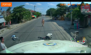 Video: Tài xế container phanh cháy đường cứu người đi xe máy