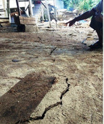 Xuất hiện vết nứt dài bất thường ở bờ sông Gianh