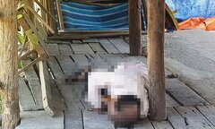 Thi thể bị cắm dao trong quán nước Nha Trang