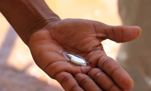 Xử lý thế nào khi bị ngộ độc thủy ngân?