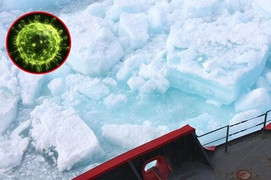 Hiểm họa băng tan đánh thức mầm bệnh và virus khổng lồ