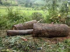 Lật xe chở gỗ lậu ở Kon Tum, người đàn ông bị đè chết