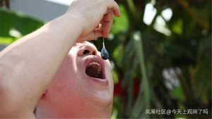 Ăn mật rắn, thanh niên 28 tuổi bị ký sinh trùng 'ăn' não