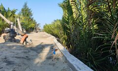 Quảng Nam: Xử phạt doanh nghiệp ‘xẻ’ đất rừng dừa Bảy Mẫu